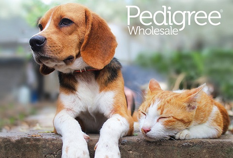 Link to the Pedigree Wholesale Ltd website