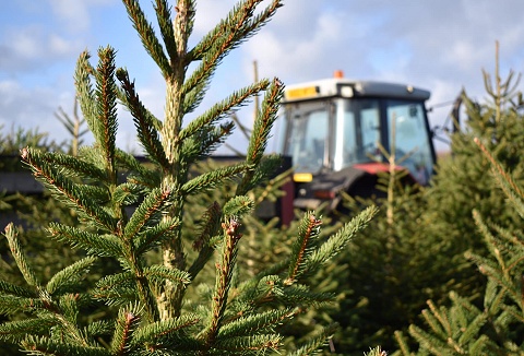Link to the Digby Farm website