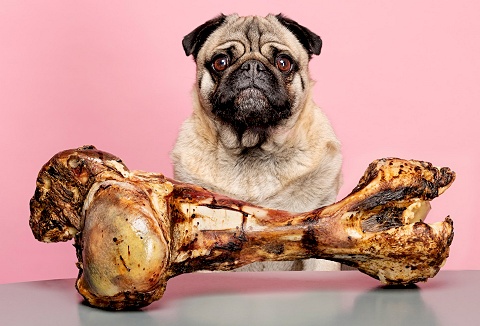 Link to the Riverside Animal Feeds website