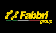 Link to the Fabbri Group website